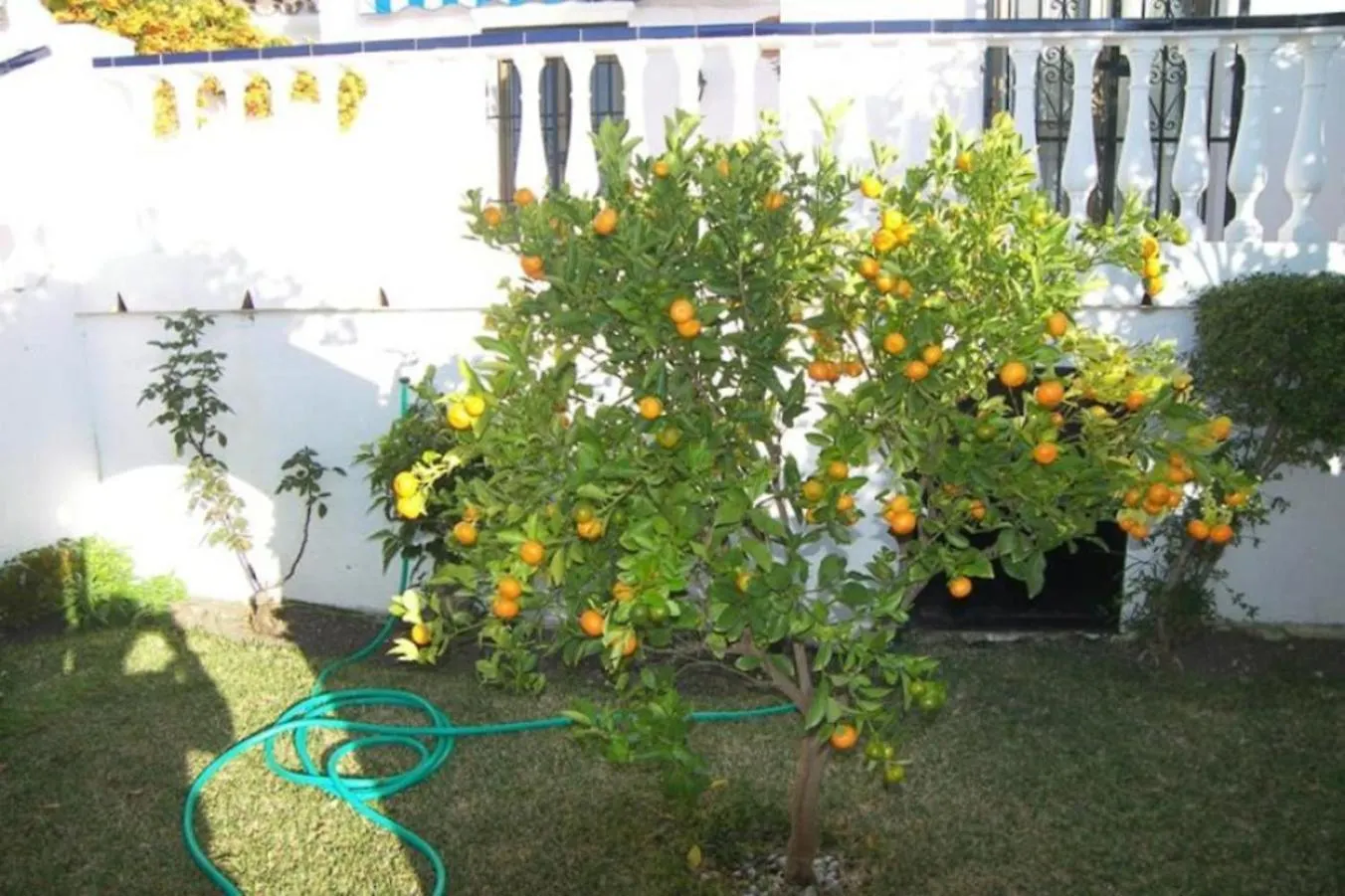 Villa Capistrano1 Nerja